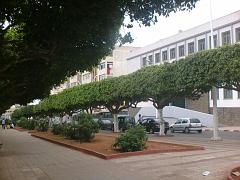 ORAN 2005 BOULEVARD DES 40 METRES
